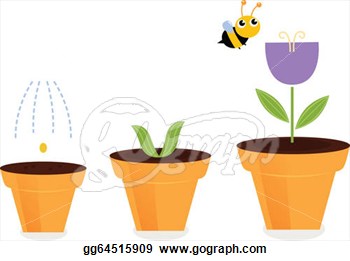 Spring Flower Growth  Vector Cartoon Illustration  Clipart Gg64515909