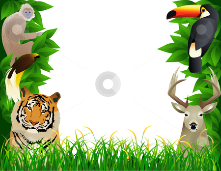 Tropical Jungle Stock Vector Clipart Vector Illustration Wild Animal