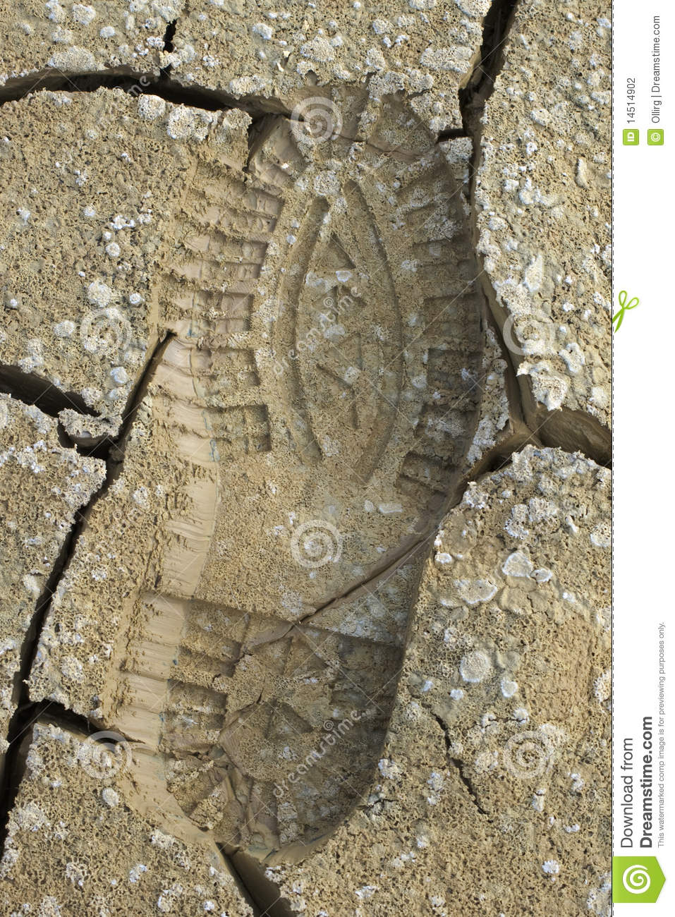Boot Print On Cracked Mud Stock Photography   Image  14514902