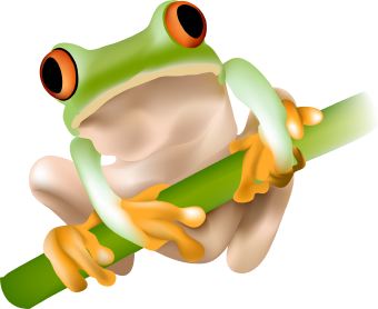 Clip Art Of A Green Tree Frog With Orange Eyes Sitting On A Green Twig