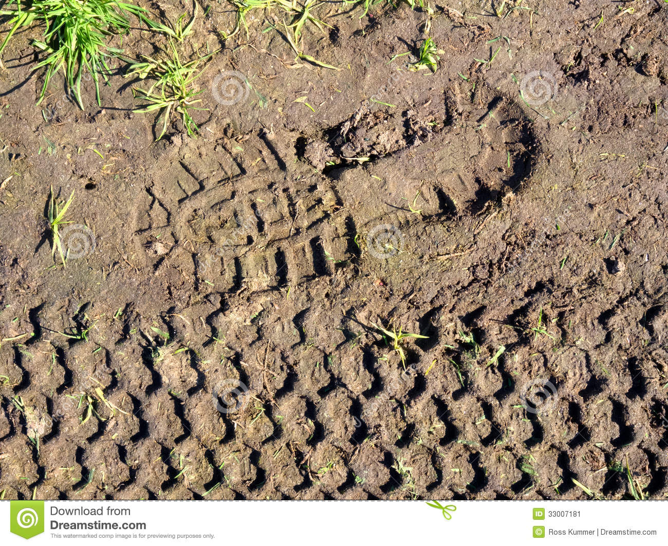 Footprint And Tyre Print Stock Image   Image  33007181