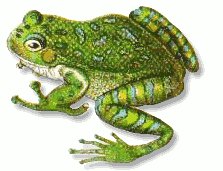 Free Florida Tree Frog Clipart   Free Clipart Graphics Images And