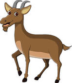Funny Goat Cartoon   Clipart Graphic