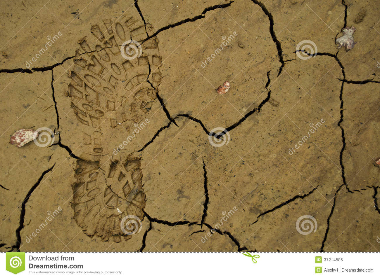 Shoe Footprint In Mud Royalty Free Stock Image   Image  37214586