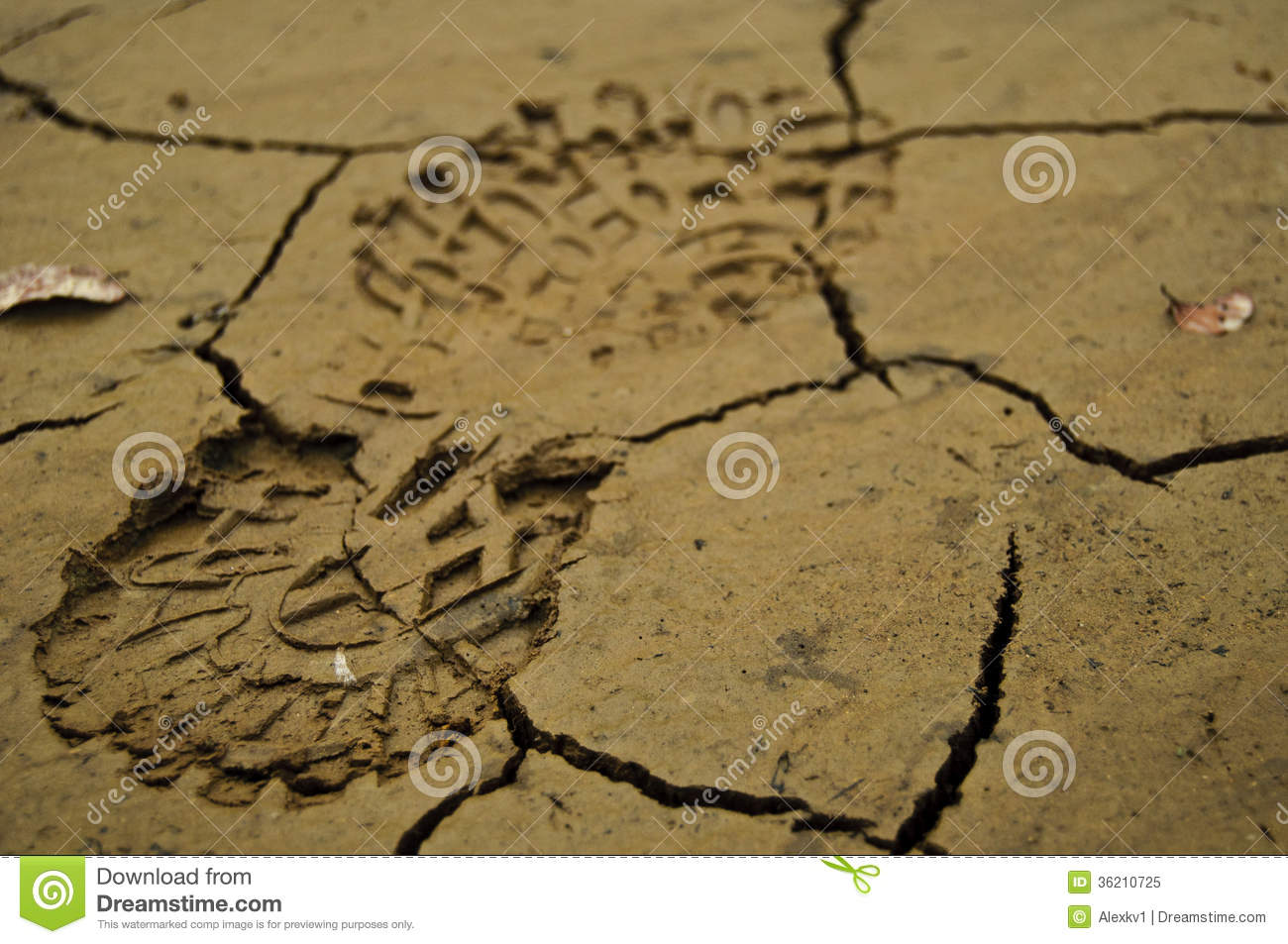 Shoe Footprint In Mud Royalty Free Stock Photo   Image  36210725