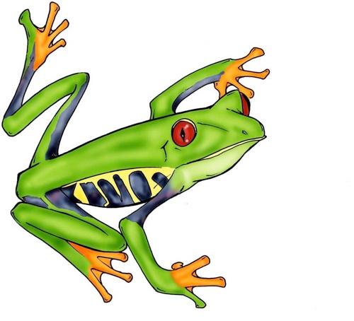 Tree Frog Drawing   Clipart Panda   Free Clipart Images
