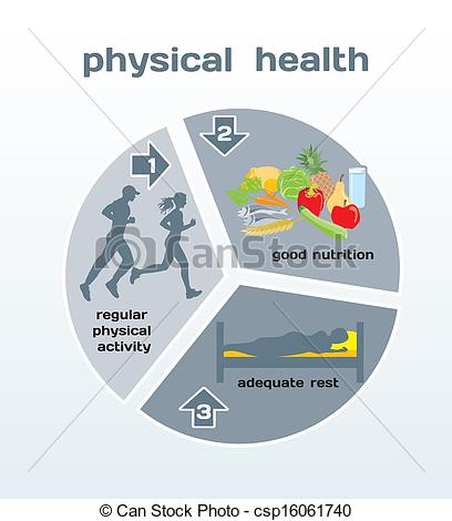 Vector   Physical Health Infographic   Stock Illustration Royalty