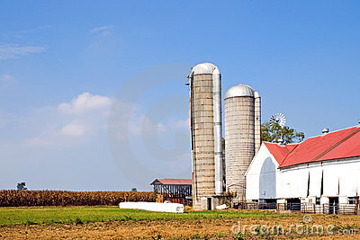 Amish Farm In Lancaster Pennsylvania With White Tobacco Barn Silos