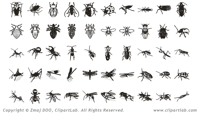 Bugs Clipart Images Eps Insects Clip Art