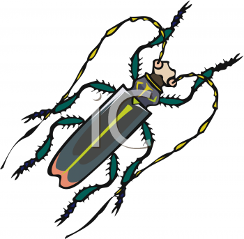 Clip Art Insects   Insects And Bug