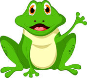 Cute Frog Cartoon Stock Photo