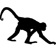 Monkey Silhouette   Clipart Best