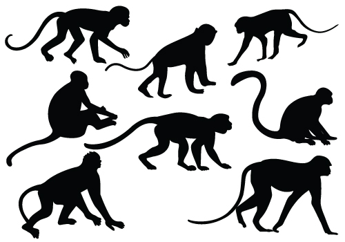 Monkey Silhouette Clipart Lowrider Car Pictures