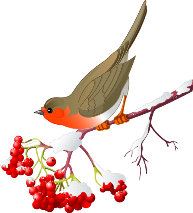 Pretty Bird And Winter Berries