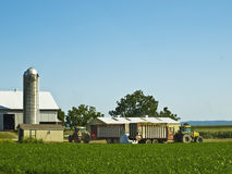 Usa Corn Farms Stock Photos   Images