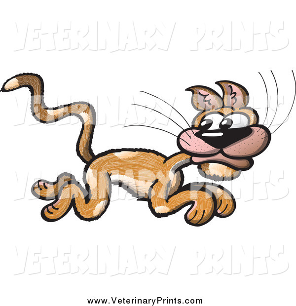 Art Print Of A Cartoon Scared Brown Cat Running By Zooco    89