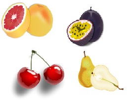 Clipart Dictionary  Fruit