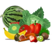 Clipart Dictionary  Vegetables   English Spanish