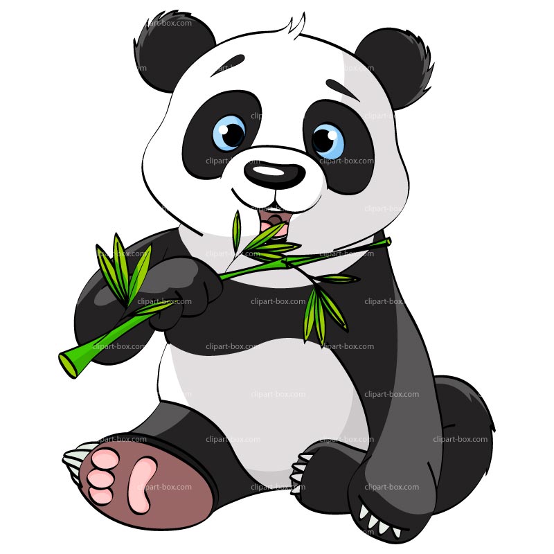 Clipart Panda Eating   Royalty Free Vector Design