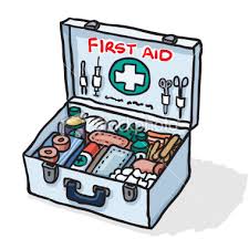 First Aid Kit   Goatworld Articles   Goatworld Com