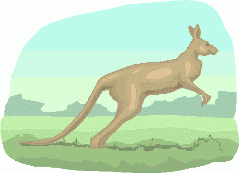 Kangaroo 4 Clipart   Kangaroo 4 Clip Art
