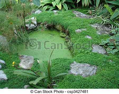 Photography Of Tranquil Garden Pond   Landscaped Tranquil Garden Pond    