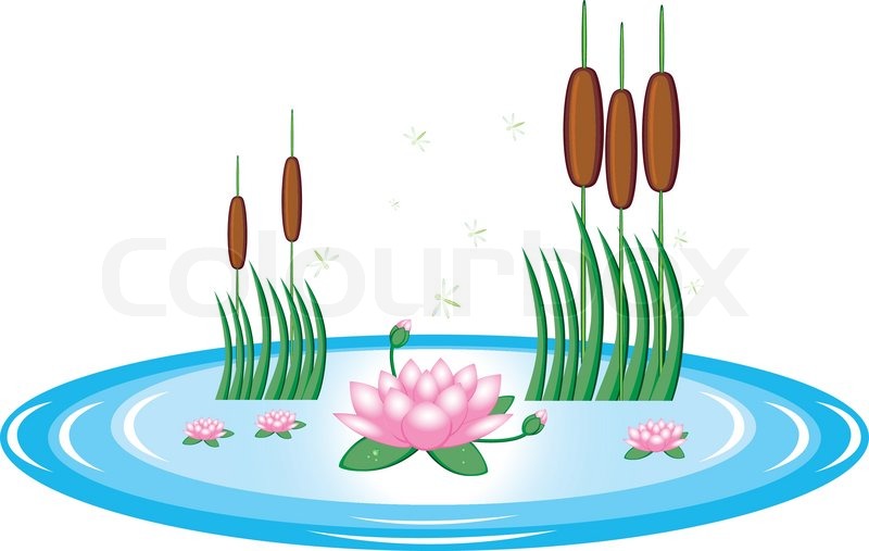 Stock Vector Of  Pond With Lily And Water Reeds Illustration On White