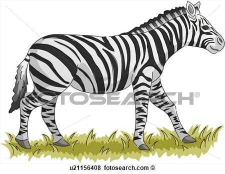 Wild Animal Vertebrate Zebra Land Animal Mammal Icon Animal View