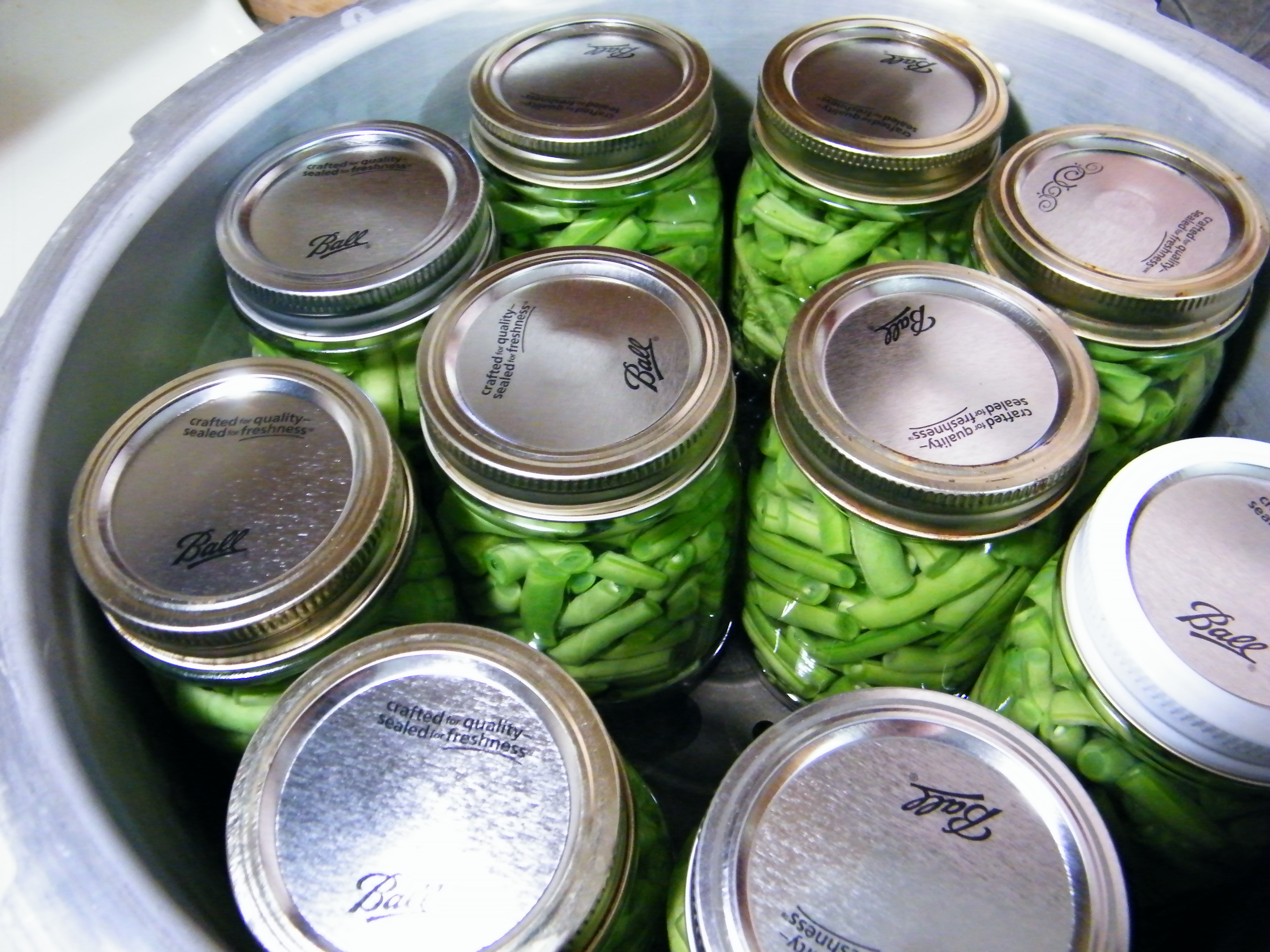 Canned Green Beans Clip Art Royalty Free Clipart Picture Pictures