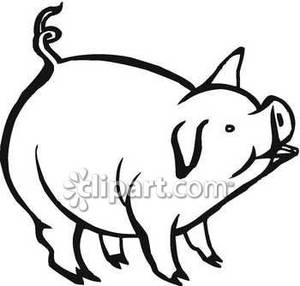 Cute Black And White Pig   Royalty Free Clipart Picture