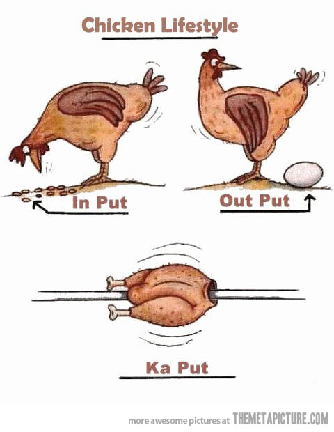 Funny Photos Funny Chicken Drawing Clipart