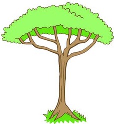 Jungle Trees Clip Art Search Pictures Photos