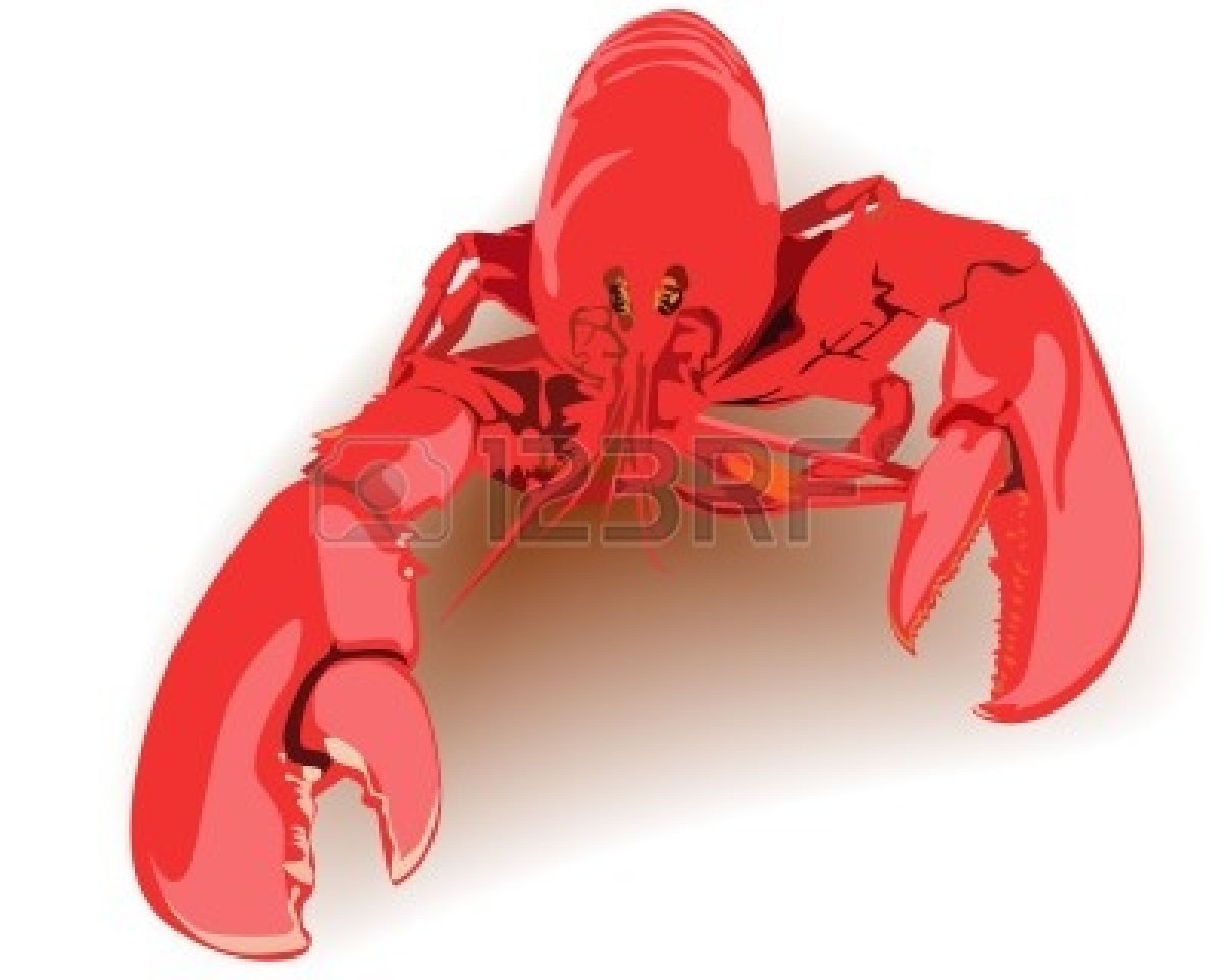 Lobster Claw Clipart 10013170 Boiled Lobster Red On A White Background
