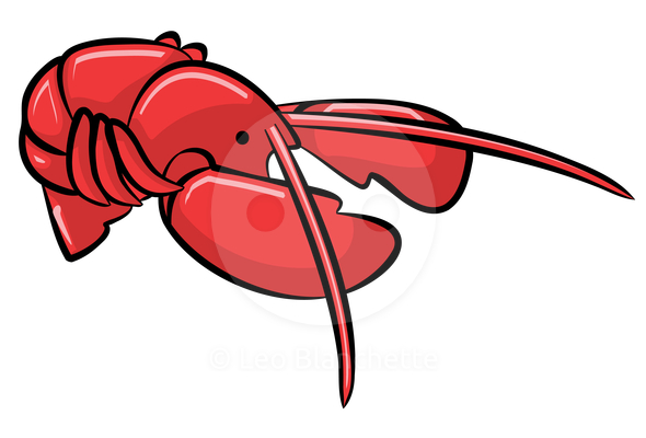 Lobster Claw Clipart 61750 Red Lobster Freshly Cooked Jpg