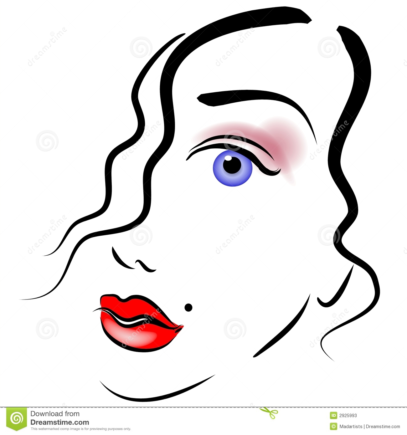 Face Of Woman Clip Art Stock Photos   Image  2925993