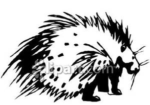 Black And White Porcupine   Royalty Free Clipart Picture