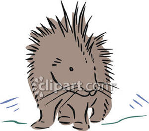 Cute Porcupine With Quills Raised   Royalty Free Clipart Picture