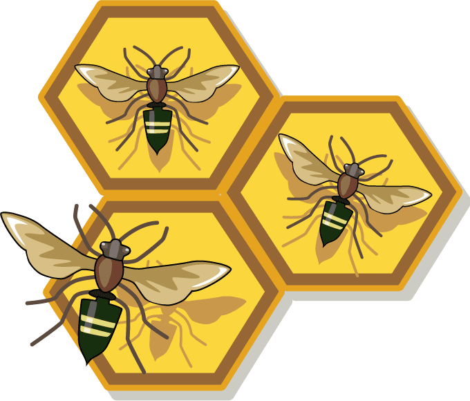 Download Bee Clip Art   Free Clipart Of Honey Honeycomb A Bee   More