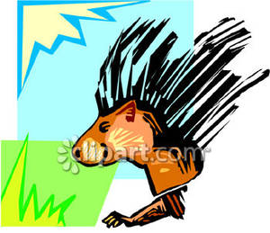 Face Of A Porcupine   Royalty Free Clipart Picture