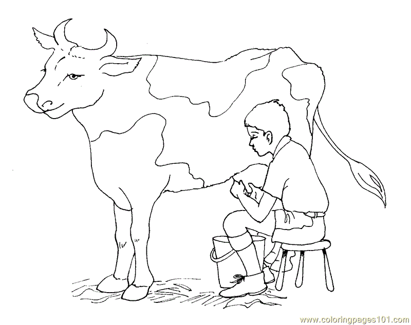 Free Printable Coloring Page Milk Cow  Animals   Cow 