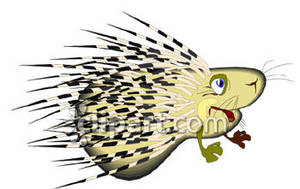 Funny Cartoon Porcupine   Royalty Free Clipart Picture