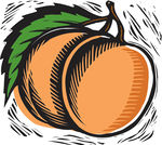 Peach Illustrations And Clipart
