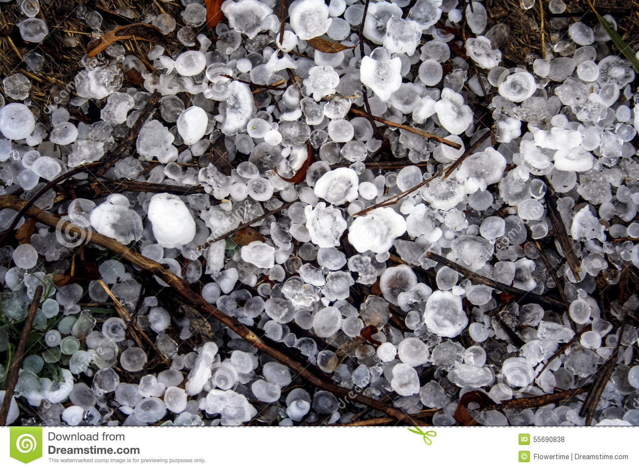 Stock Photo  Hailstones