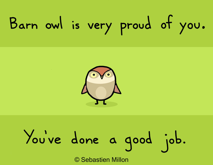 Barn Owl Is Very Proud Of You By Sebreg D3eujpi Jpg