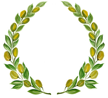 Istockphoto Olive Branch Wreath   Free Images At Clker Com   Vector