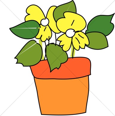 Pot With Yellow Flowers