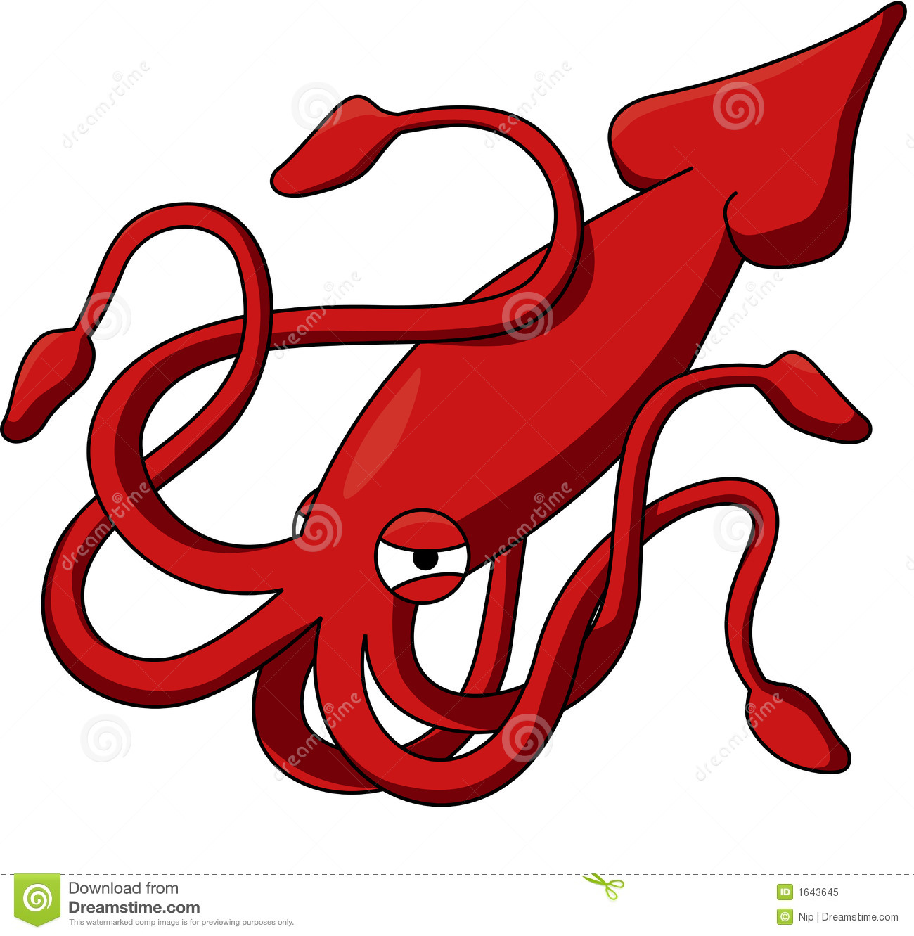 Red Squid Royalty Free Stock Photo   Image  1643645