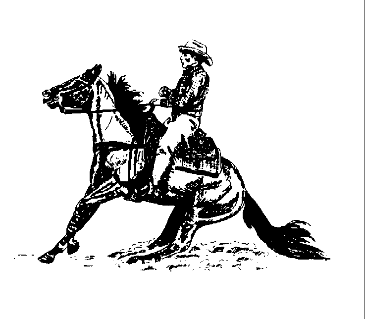 Reining Horse   Found At The Clip Art Connection