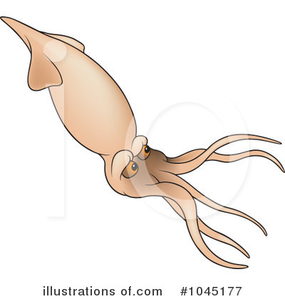 Squid Clipart  1045177   Illustration By Dero