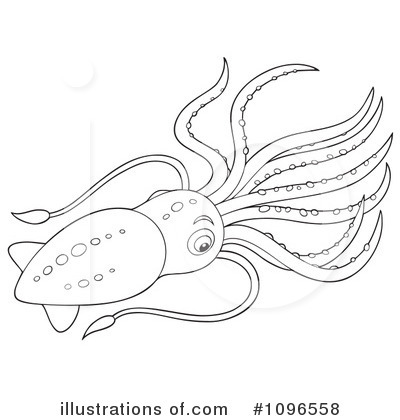 Squid Clipart  1096558 By Alex Bannykh   Royalty Free  Rf  Stock    